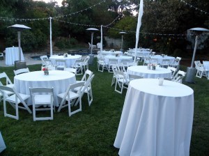 Party before the action