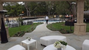 Backyard before  the action started