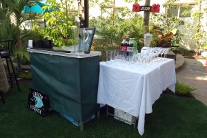 Portable bar with green trim