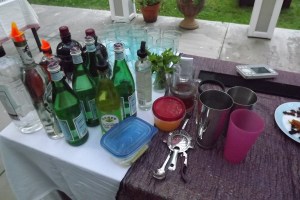 Beverly Hills Backyard Bar