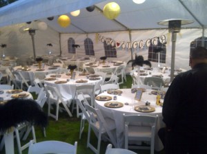 Backyard engagement party