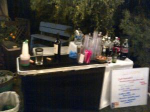 Lousy picture of my bar