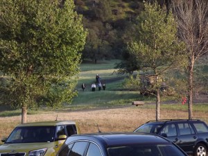 Guests walking down from wedding ceremony
