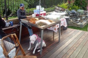 Dog guarding the taco stand