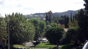 The hills of Tarzana