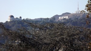 View from Silverlake