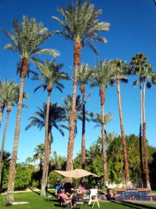 Nice weather at the Charles Farrell Estate