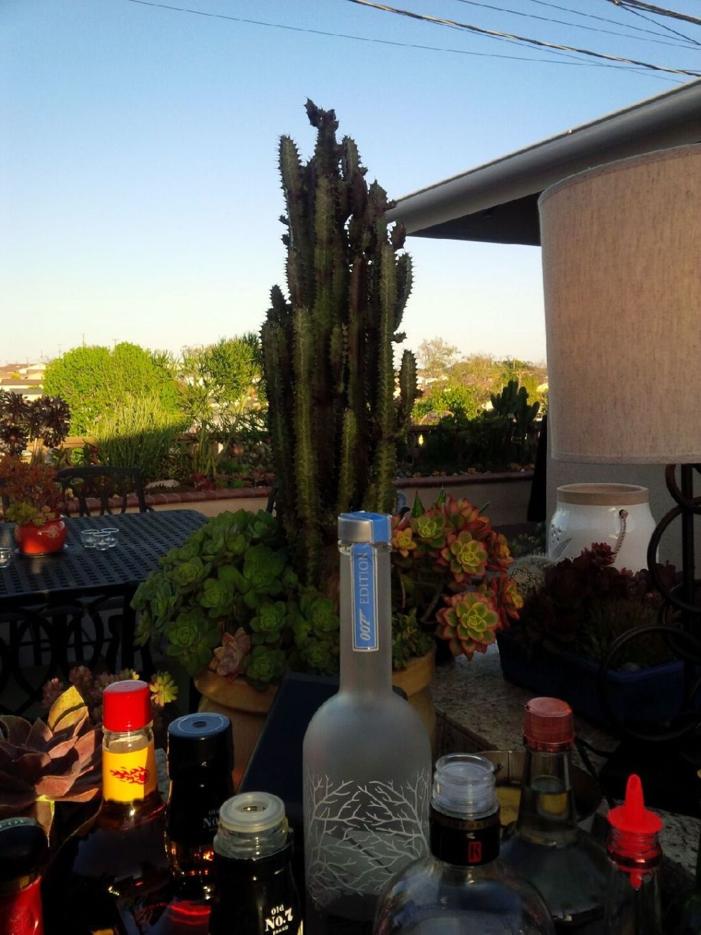 Torrance 40th Birthday&nbsp;Party